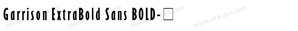 Garrison ExtraBold Sans BOLD字体转换